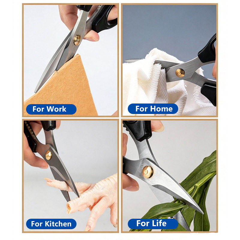 Stainless Steel Scissors Manga - đánh giá và giá Scissors Stainless Craft